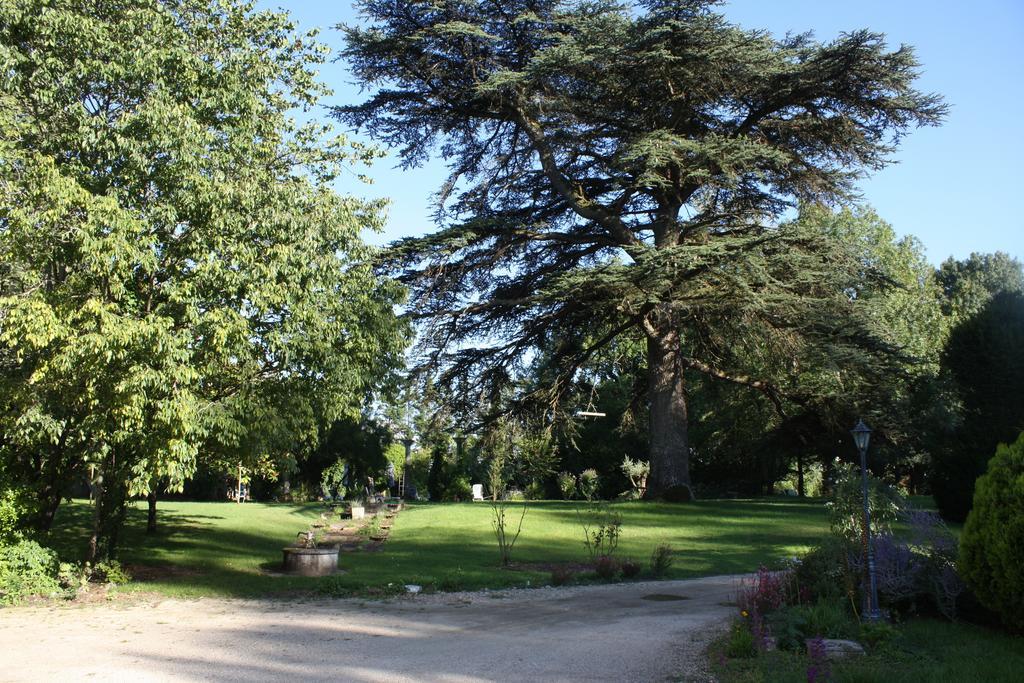 Chateau Castelrives Bessières Pokoj fotografie