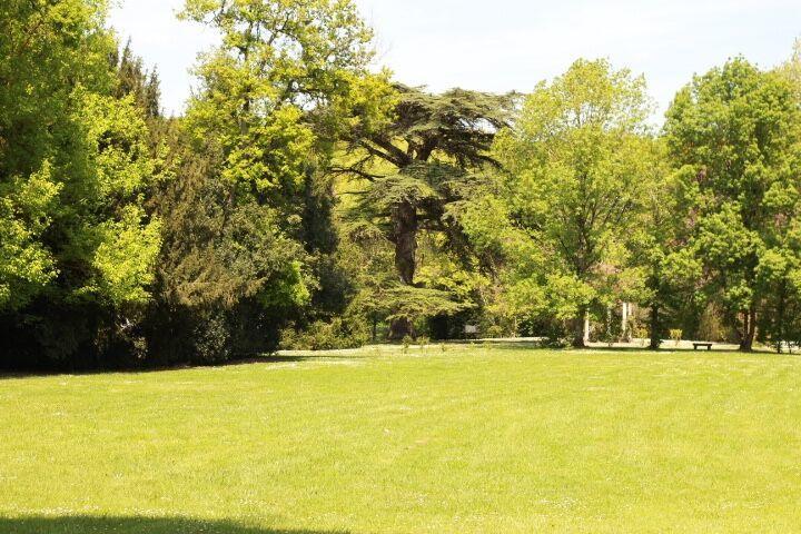Chateau Castelrives Bessières Exteriér fotografie